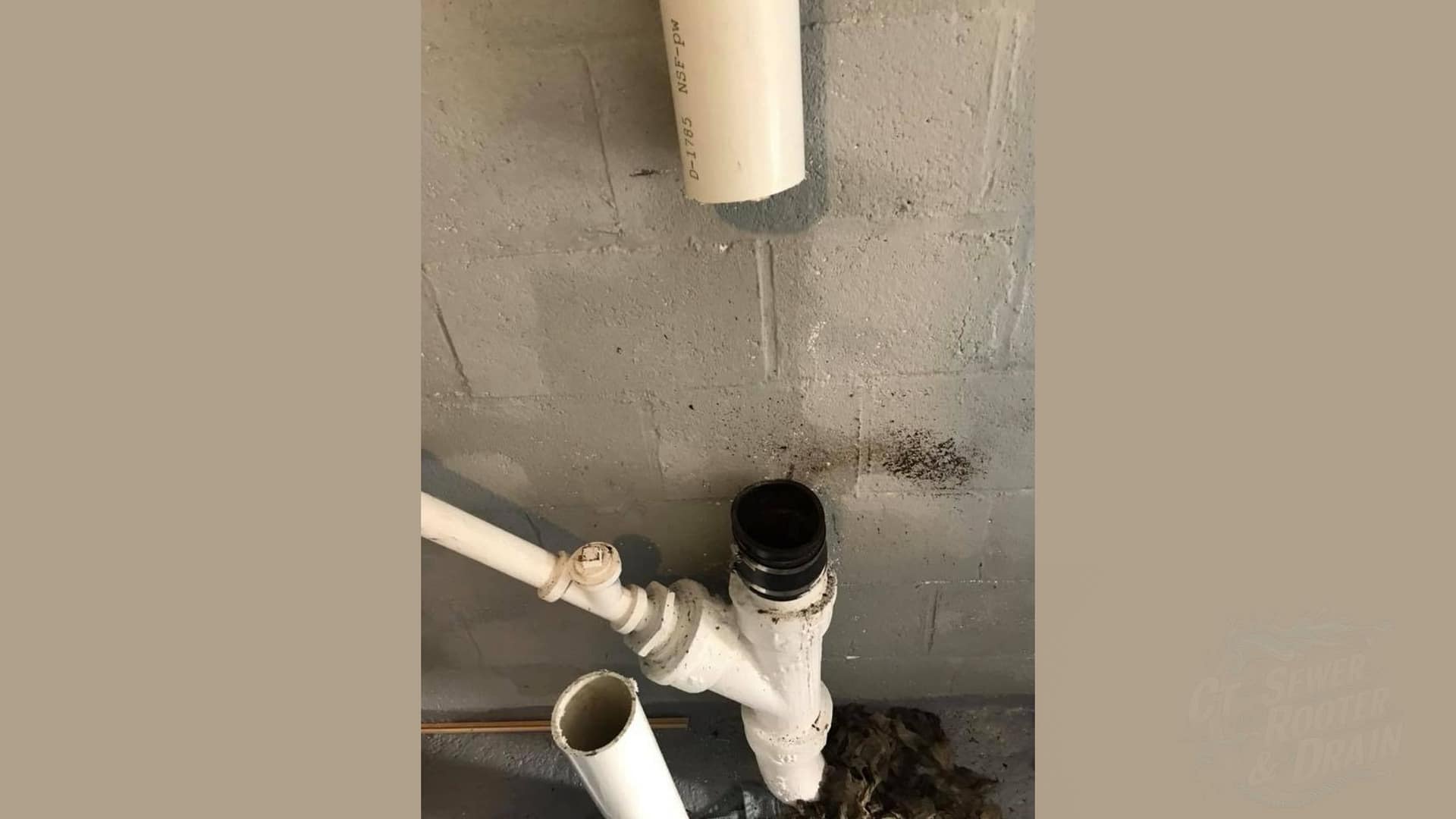 plumber bridgeport ct